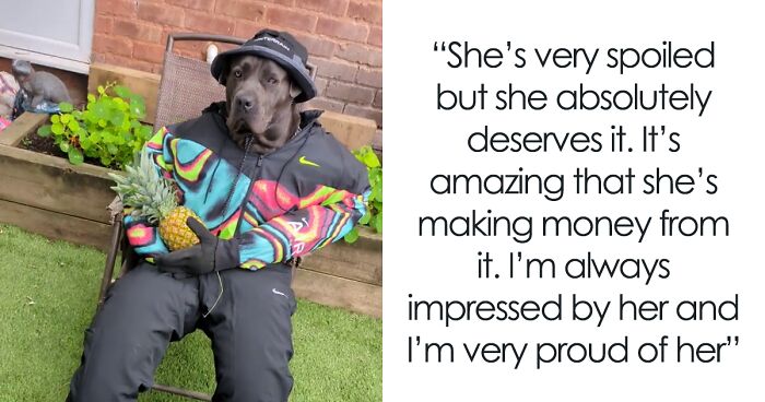 Hilarious Videos Of This Dog's Human Outfits Go Viral Online, Folks Are Cracking Up