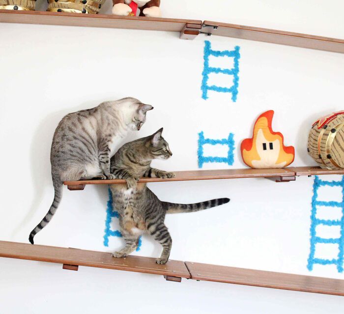 I Designed A Donkey Kong Cat Wall