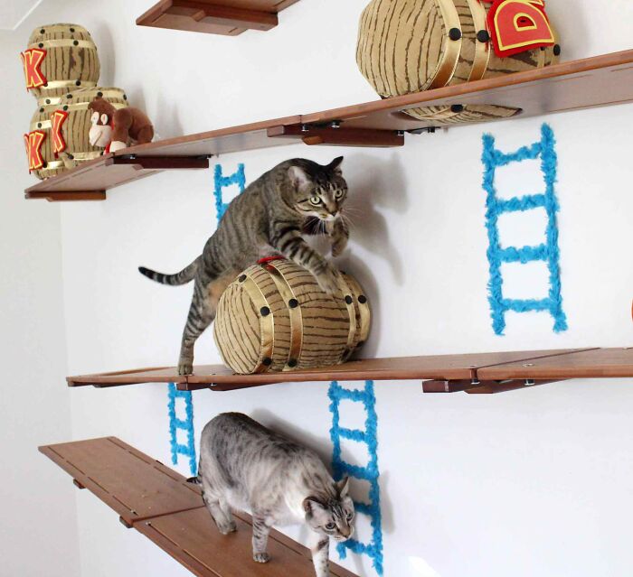 I Designed A Donkey Kong Cat Wall