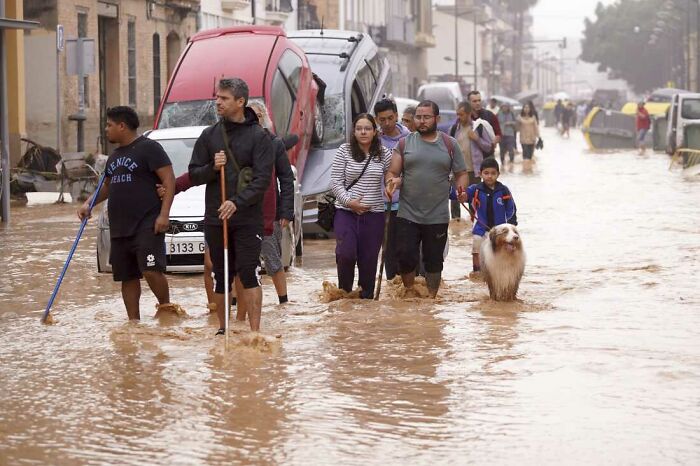 Brave Woman Holds On To Her Dog In Neck-Deep Floodwater As They Wait For Rescue Helicopter