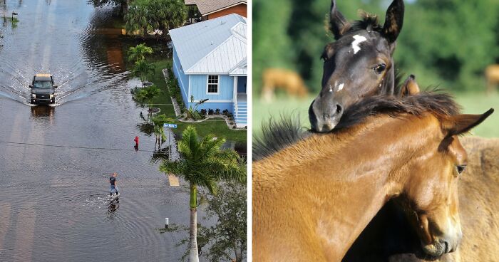 Experts Weigh In After Hurricane Milton Hits Florida, Urge Public To Avoid Viral “Bad Ideas”