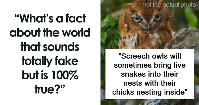 “What’s A Fact About The World That Sounds Totally Fake But Is 100% True?” (64 Answers)