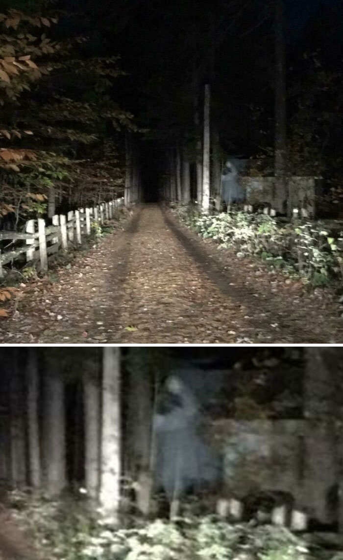 Rented A Cabin A Few Years Back For A Birthday Party. Just Looked At This Pic And Thought It Was Strange. Anyone Else See It? It Was Night Time And Pitched Black So I Had The High Beams On