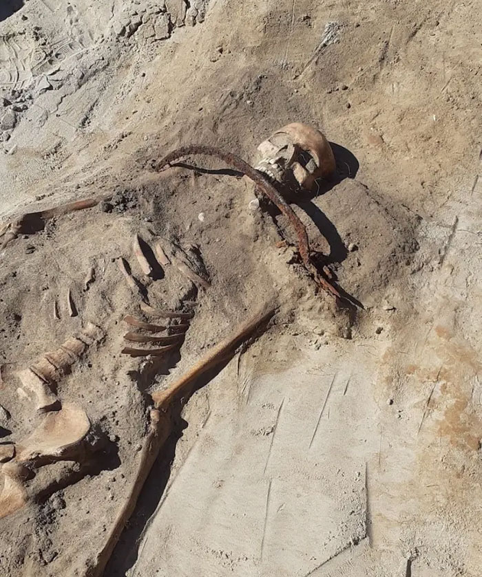 Archaeologists Reveal How A Mysterious “Real-Life Vampire” May Have Spent Her Final Moments