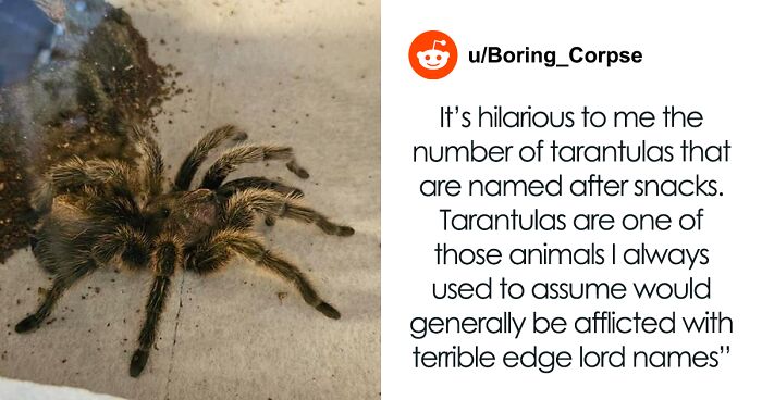 Firefighters Rush Into Burning Building To Save 3 Dogs, 2 Cats, And 30-Year-Old Tarantula ‘Twinkie’