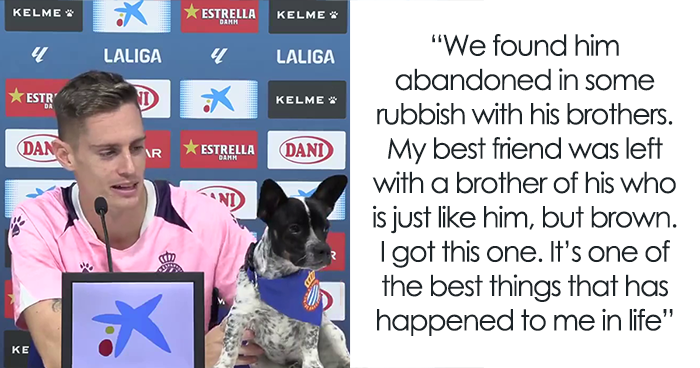 Abandoned Dogs Find Home After Football Team’s Awareness-Raising Action Before The Match