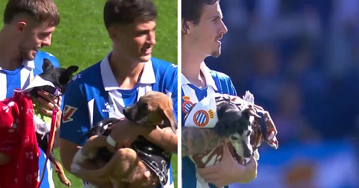 Spanish Football Club Melts Hearts Online By Bringing Strays To The Field To Help Them Get Adopted