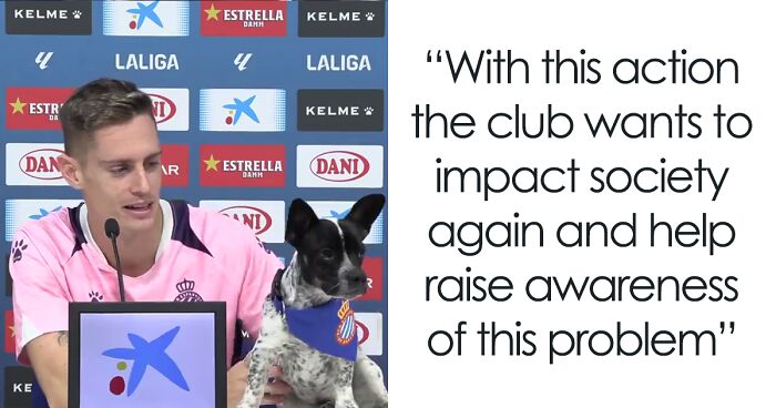 Abandoned Dogs Find Home After Football Team’s Awareness-Raising Action Before The Match