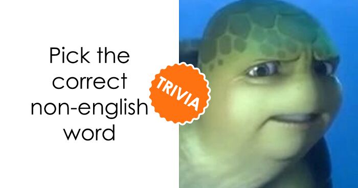 'Everyday Expressions From Around The World' Trivia