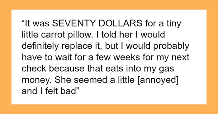 Woman Vows To Replace Her Friend’s Ruined $70 Pillow, But Offers A Thrifted Version, Owner Fumes