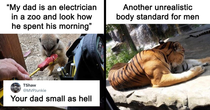 60 Funny And Awkward Animal Posts That Might Make Your Day Much Better