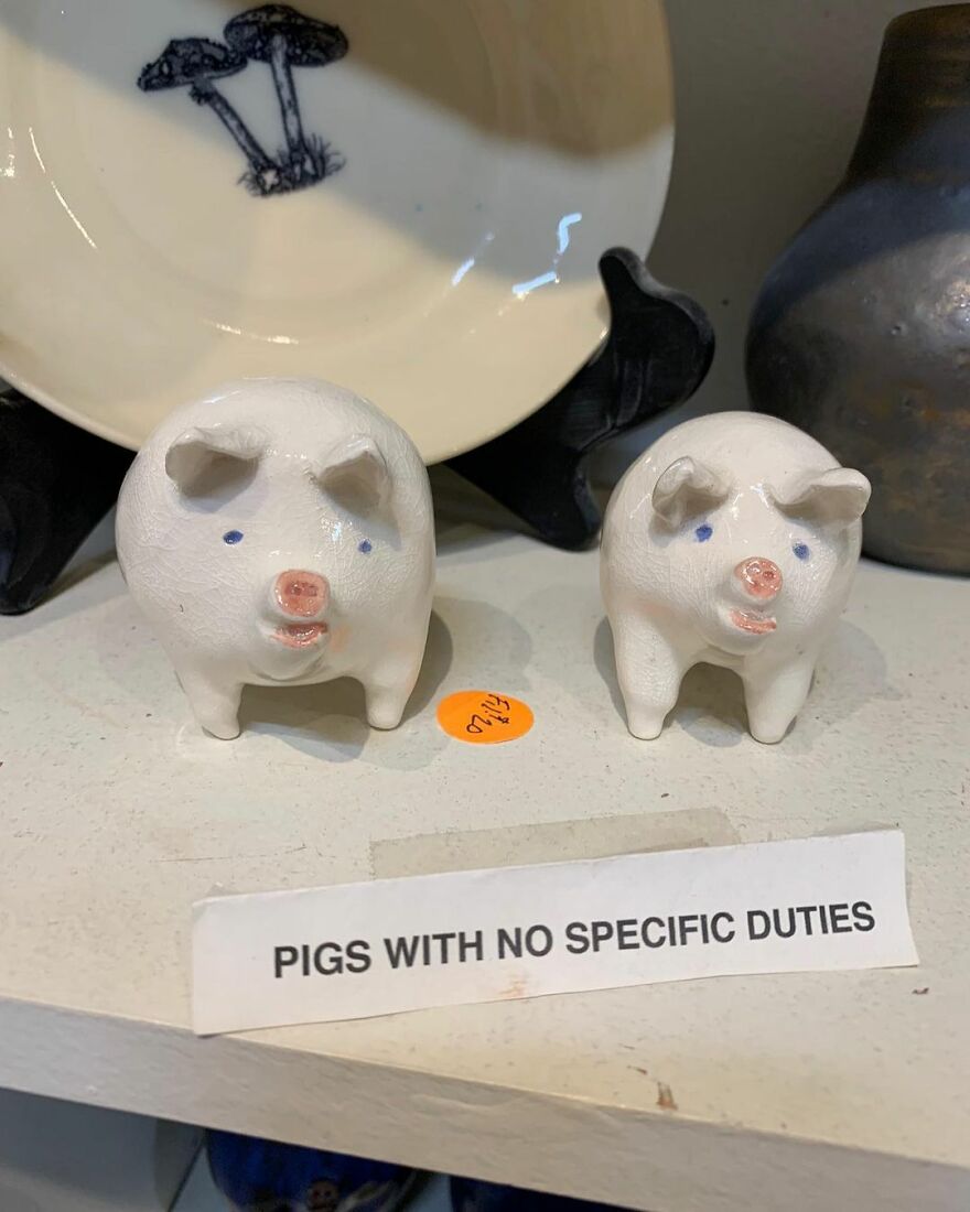 Cute ceramic pigs with a funny label reading "Pigs with no specific duties" displayed on a shelf.