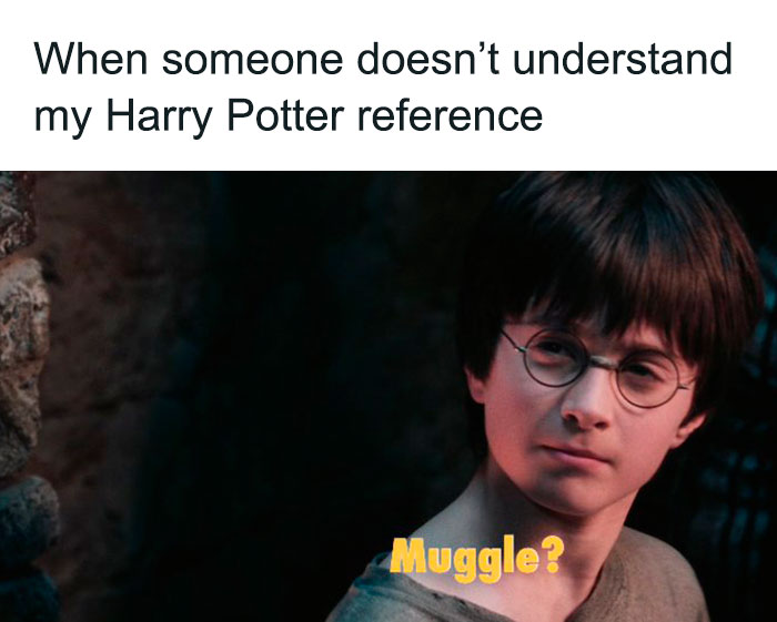 Funny-Harry-Potter-Memes