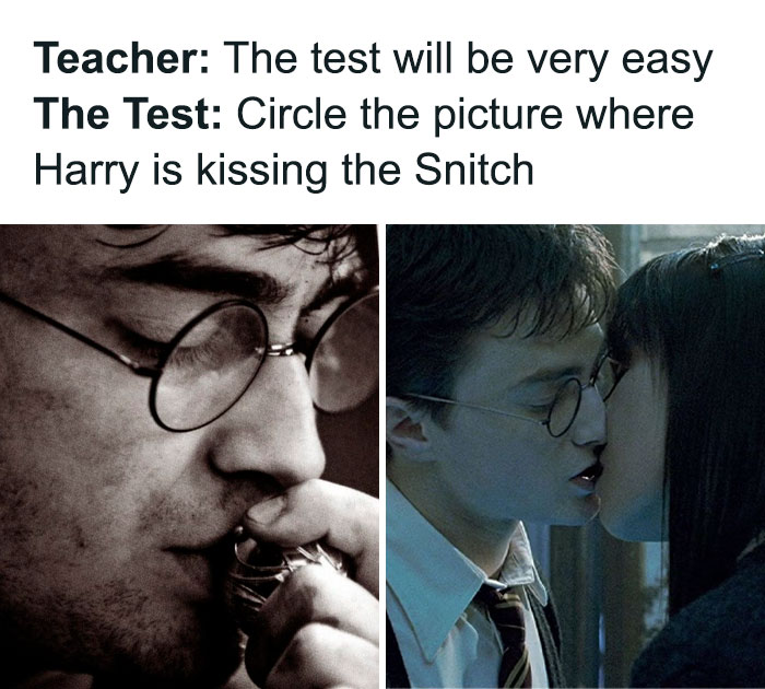 Funny-Harry-Potter-Memes