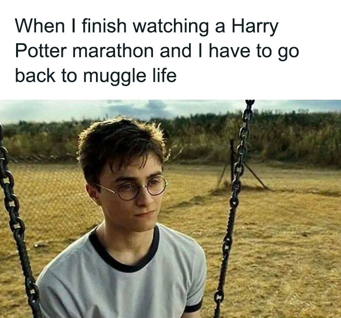 Funny-Harry-Potter-Memes