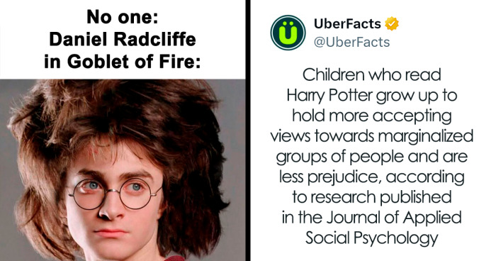 111 Every-Flavor Harry Potter Memes, As Shared On This FB Page