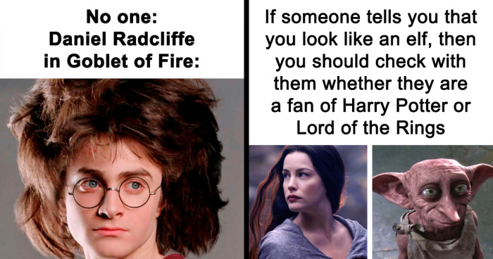 111 Funny Harry Potter Memes Right In Time For Binge-Watching The Entire Saga Again