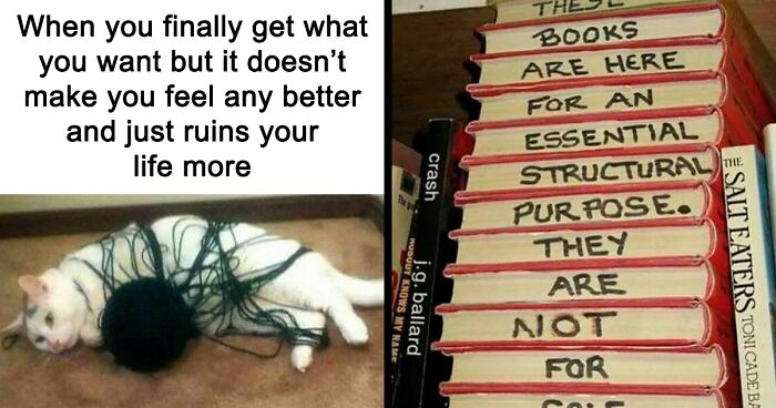 78 Intellectual Memes To Drown Out Those Intrusive Thoughts