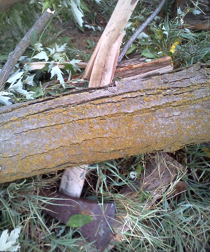 A Limb Fell Off My Tree Last Night And Broke My Ax