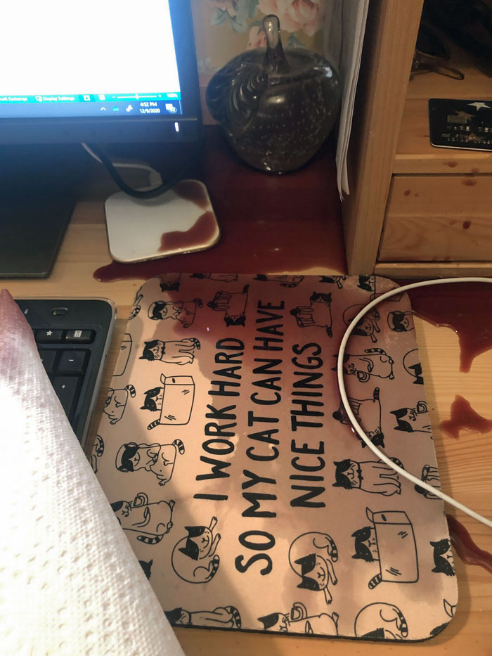 My Jerk Cat Knocks Over Entire Glass Of Juice On My Computer Desk During A Work Zoom Call. Mousepad Is The Irony