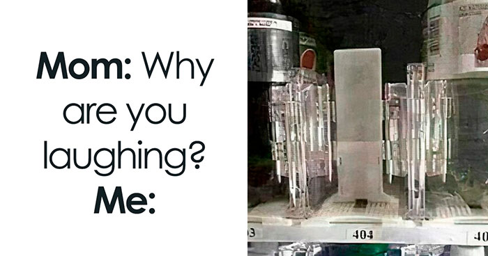 50 Hilarious Memes For Anyone Who Can’t Go A Day Without A Meme