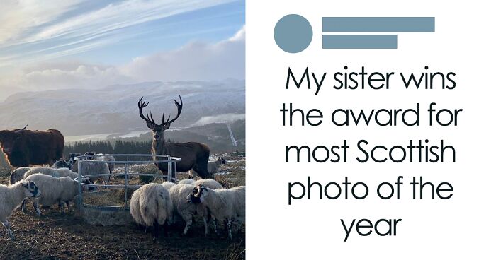 78 Funny Memes That Perfectly Sum Up Scottish Humor