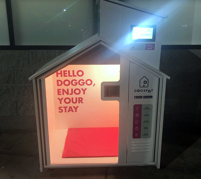 My Local Grocery Store Has An Air-Conditioned "House" Outside For Dogs To Stay While People Shop 