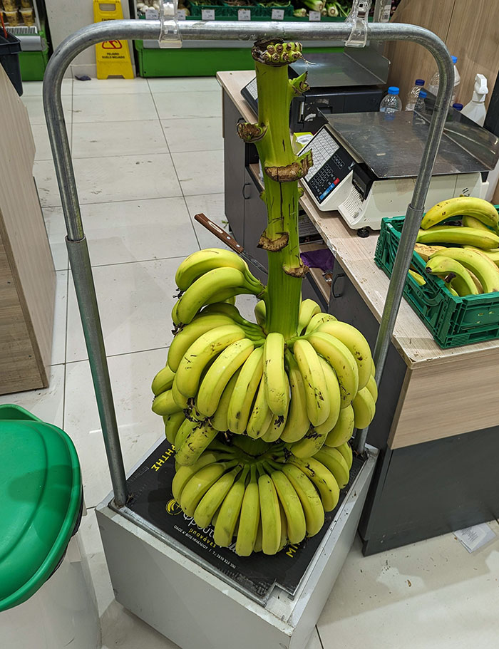 This Grocery Store Has You Cut Off Your Bananas From The Branch