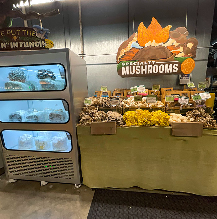 This Supermarket Grows Its Own Mushrooms