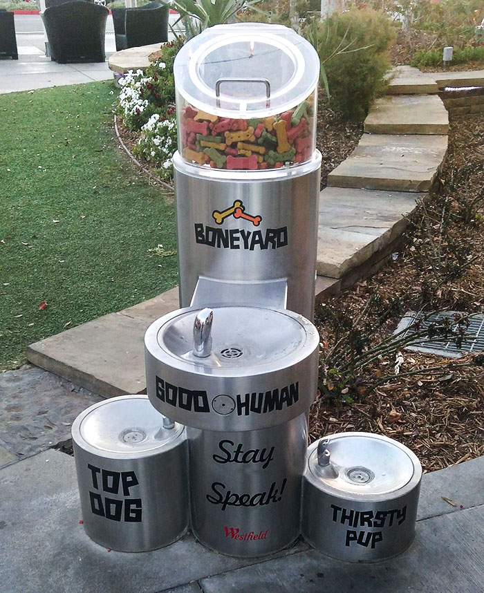 Esta fuente de agua en mi centro comercial local tiene golosinas para perros, y dos fuentes de agua para perros, además de la fuente de agua para los seres humanos