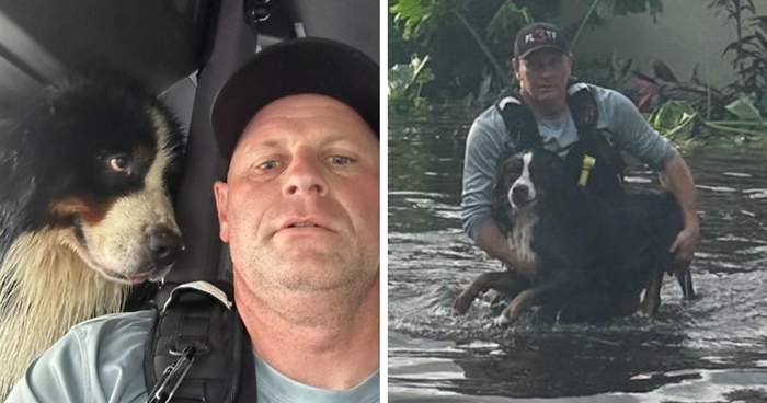 You Can Tell How Grateful This Pup Is To Be Rescued From Hurricane Milton Flooding