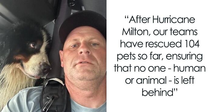  You Can Tell How Grateful This Pup Is To Be Rescued From Hurricane Milton Flooding