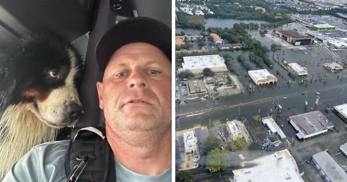 Dog Expresses Gratitude In His Eyes After Being Brought To Safety From Hurricane Milton Flooding