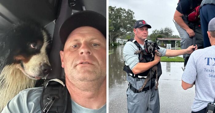 Firefighter Receives Piercing Stare Of Love From Pup Pulled From Milton’s Floodwaters