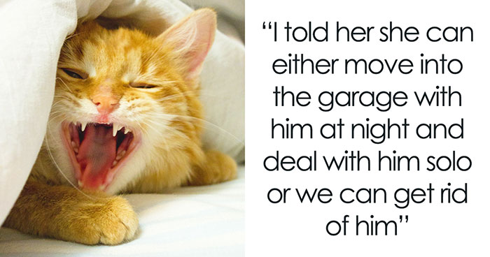 Man Loses Patience Over Wife’s “Frustratingly Annoying” Cat, Gives Her An Ultimatum