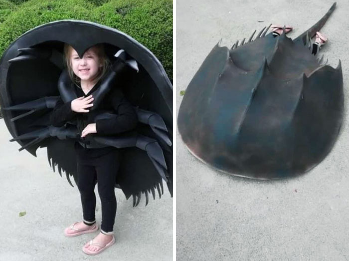 This Next Level Horseshoe Crab Halloween Costume