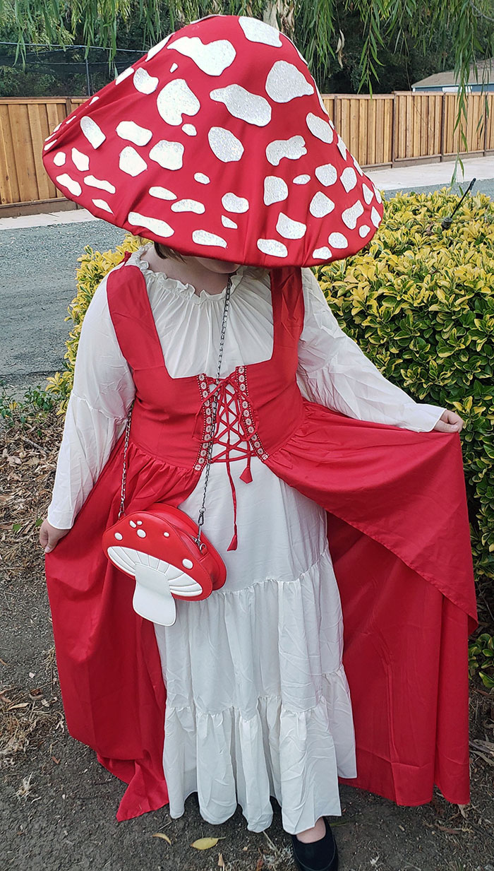 My Daughter's Mushroom Costume