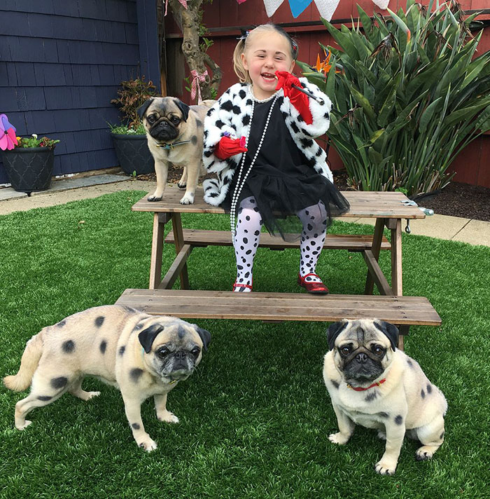 Halloween Costume And A Tiny Cruella Deville And Her Mini Dalmatians