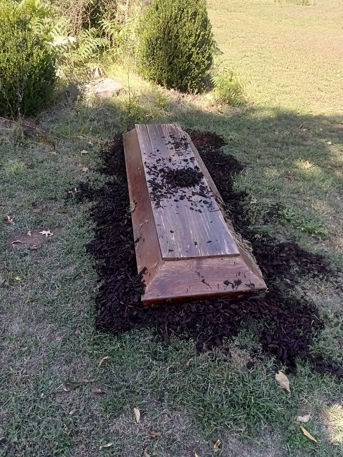 I Got A Few Of Our Decorations Up Today Before It Got Too Warm. I Got A Bag Of Mulch At Walmart To Look Like A Freshly Dug Grave For Our Coffin Lid (The Funeral Home My Wife Works At Was Throwing A Transport Casket Out)