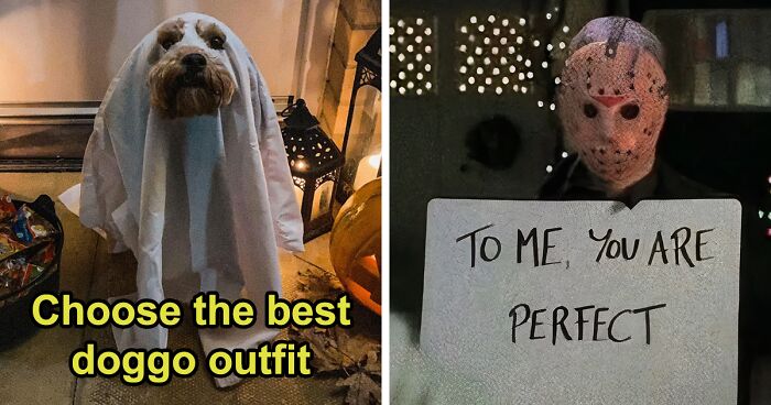 The Ultimate Face-Off: 16 Cutest Halloween Dogs