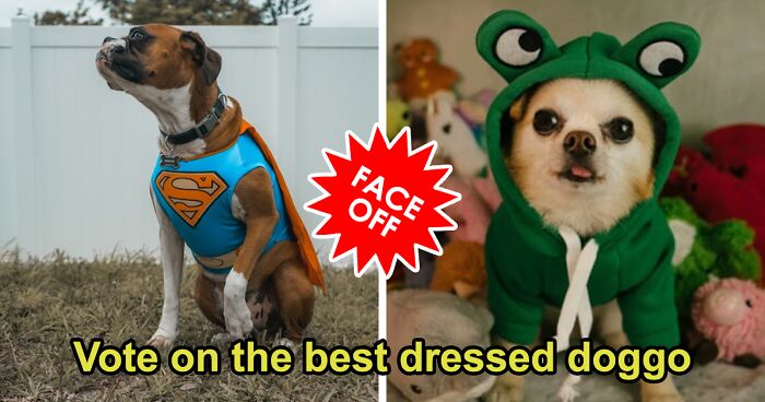 16 Halloween Doggies, But Only One Can Be Crowned The Cutest 