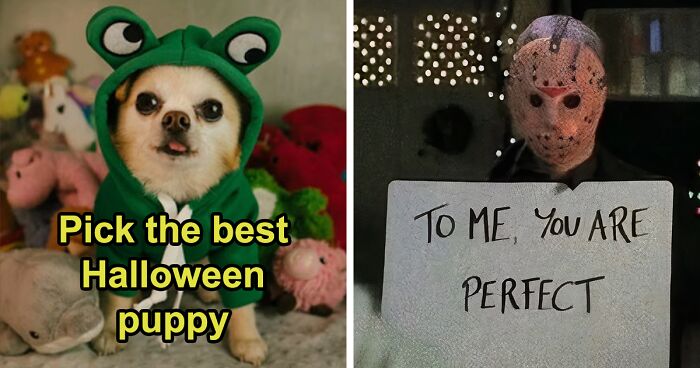 16 Halloween Doggies, But Only One Can Be Crowned The Cutest 