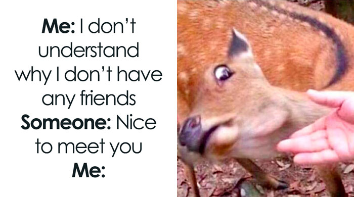 50 Funny And Relatable Memes To Sum Up Life As An Introvert