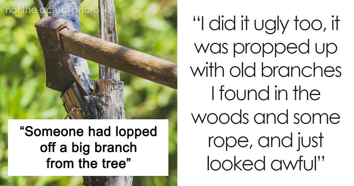 Man Makes His Tree Ugly To Annoy HOA He Doesn’t Belong To For Messing With It