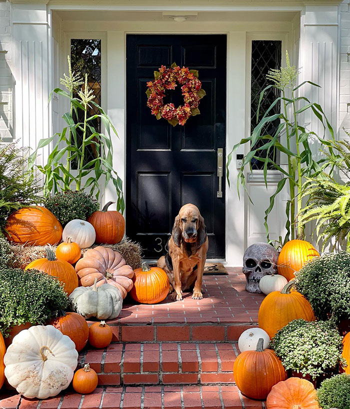 Mother Who Charges Over $1,000 For Halloween Pumpkin Displays Sparks Anger: "Ridiculous"