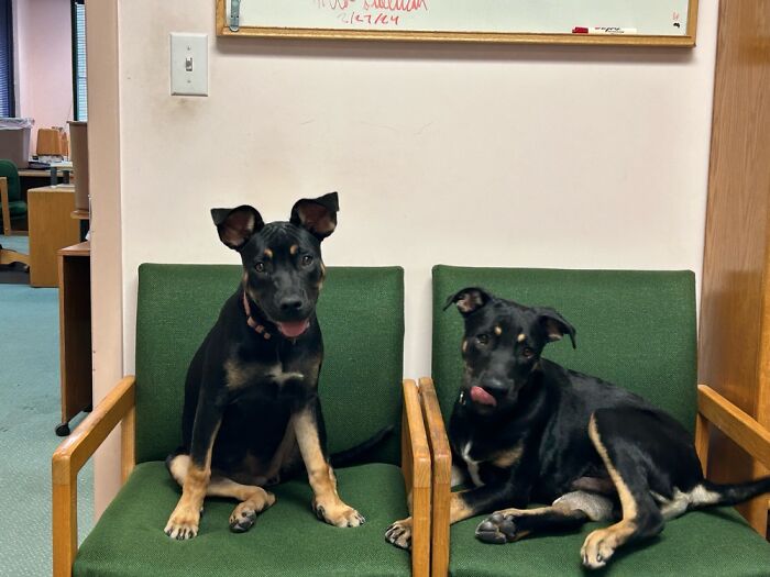 My Bosses At The Office; Bonnie & Clyde