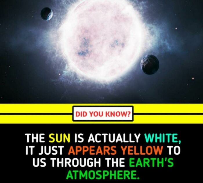 Interesting-Unique-Facts