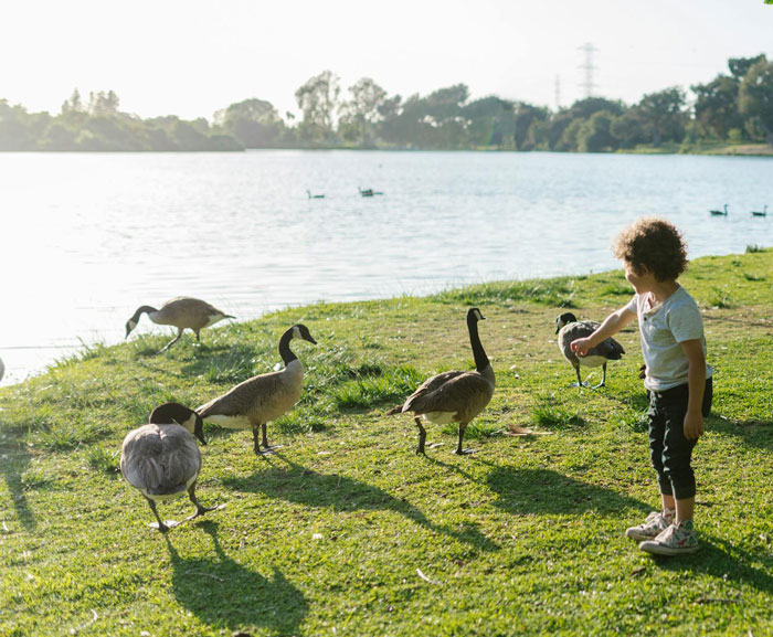 Woman Is Stunned When A Random Person Teaches Her Child A Lesson About Hurting Animals