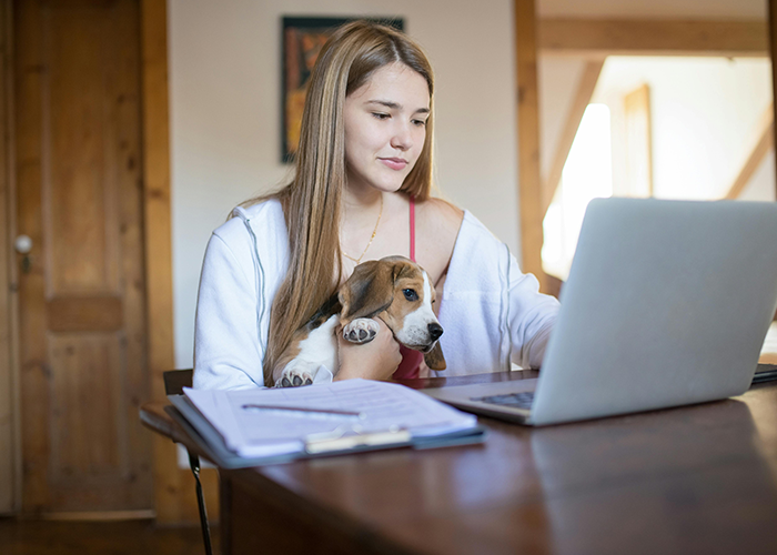 “My Dog Was Simply Sitting”: Worker Maliciously Complies With No-Dogs Home Office Policy