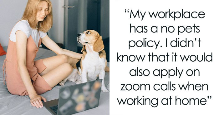 “My Dog Was Simply Sitting”: Worker Maliciously Complies With No-Dogs Home Office Policy